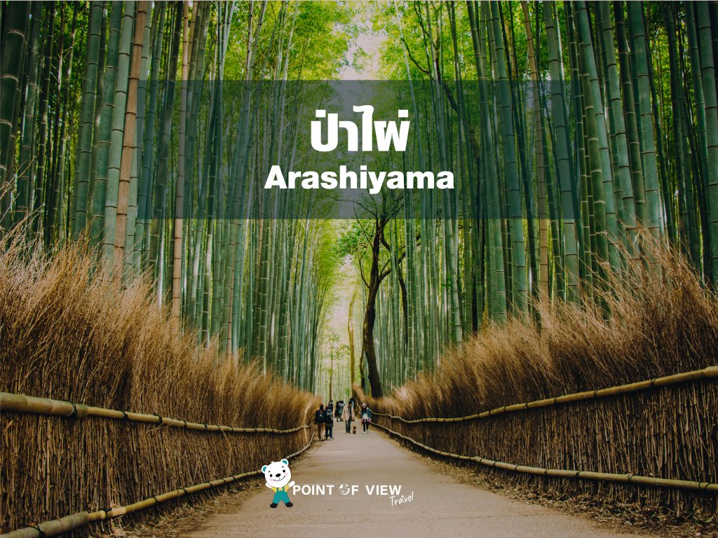  เที่ยวญี่ปุ่น ป่าไผ่ Arashiyama pointofviewtravel 