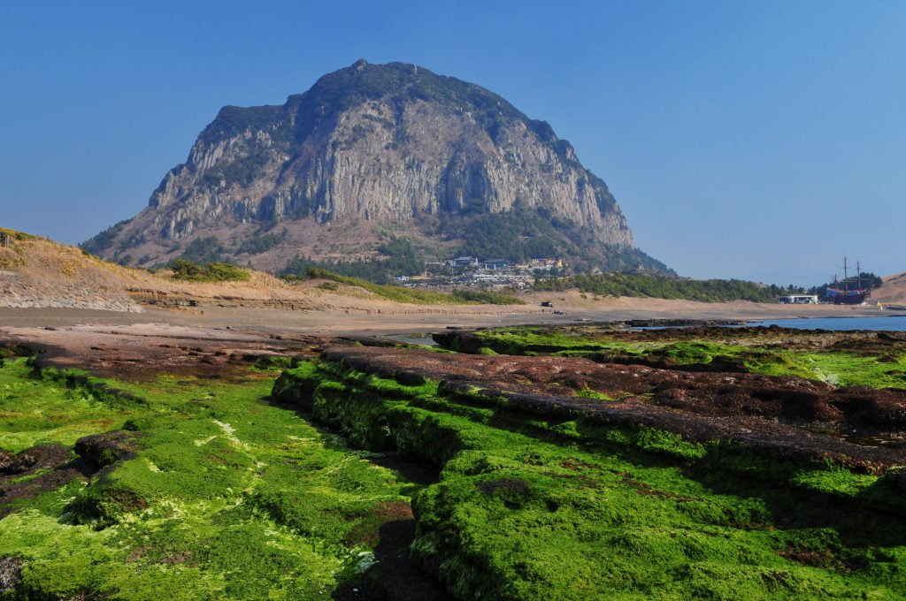 ภูเขาฮัลลาซาน เกาะเชจู