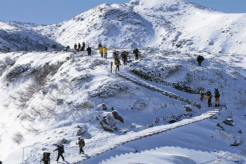 สัมผัสความเย็น Japan Alps กำแพงหิมะ 2020 pointofviewtravel 3