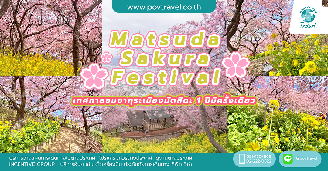 Matsuda Sakura Festival เทศกาลชมซากุระเมืองมัตสึดะ 1 ปีมีครั้งเดียว